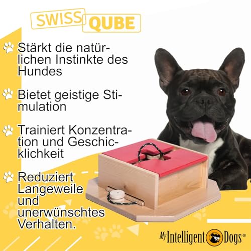 My Intelligent Dogs Interaktives Hundespielzeug Intelligenz, Hundepuzzle - Intelligenzspielzeug für Hunde Mentalen Auslastung - Interaktives Spielzeug Hund, Denkspiele für Hunde Swiss Qube