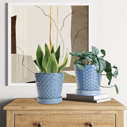 Image of EFISPSS Plant Pots,5 Inch Pots for Indoor Plants,Planters with Drainage Hole and Saucer, Ceramic Flower Pots Desktop Office Windowsill Decoration Gift Set of 4 - Sky Blue