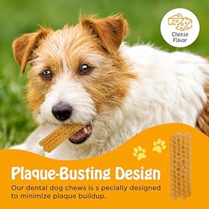   PIMA-Cheesy-Dental-Dog-Brush-Treat-Yak-Cheese-Dental-Chews-for-Dogs-Natural-Dog-Teeth-Cleaning-Treat-for-Fresh-Breath-Lactose-Corn-Grain-Soy-Rawhide-Free-16-oz-Honey-Comb