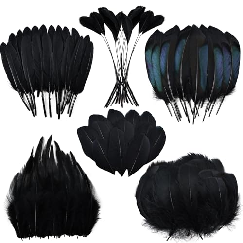 Black Craft Feathers Bulk - 180pcs 6 Style Mixed Natural Feathers for Wedding Home Party,Dream Catcher Supplies and DIY Crafts (Black)