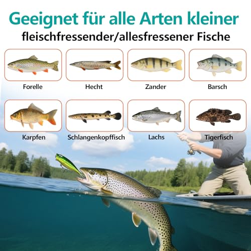 Angeln Köder Set mit Köderbox für Zander,Forelle,Barsch,Wobbler Hecht,Angelzubehör - Gemischt Kunstköder,Gummifische,Spinner,VIB,Oberflächenköder,Popper,jigheads für Süß- & Salzwasser Fischen – Bild 3