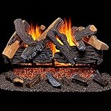 Duluth Forge Vented Natural Gas Fireplace Log Set Set-65,000 BTU, Heartland Oak, 30 Inch