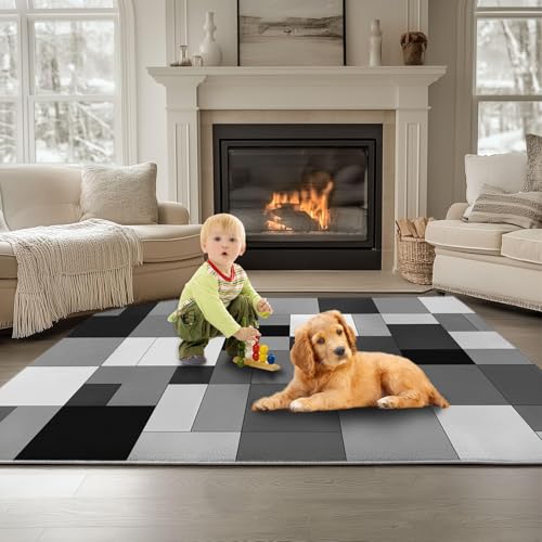 Tapis de salon lavable et antidérapant pour intérieur moderne