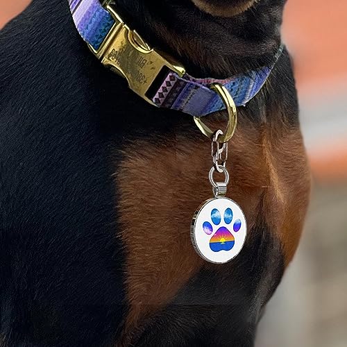 QR Code Dog Tag, Personalized Dog Tags, Dog ID Tag, Dog Name Tag, Custom Dog Tags and Cat Tag, Free Online Pet Webpage Storage Information | Modifiable QR Code Dog Tag, Personalized Dog Tags, Dog ID Tag, Dog Name Tag, Custom Dog Tags and Cat Tag, Free Online Pet Webpage Storage Information | Modifiable