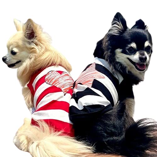 ykamakuradog qhbOzgd`qsrs`q^N  ̕ ybg hbOEFA (X^[×ubN, L)