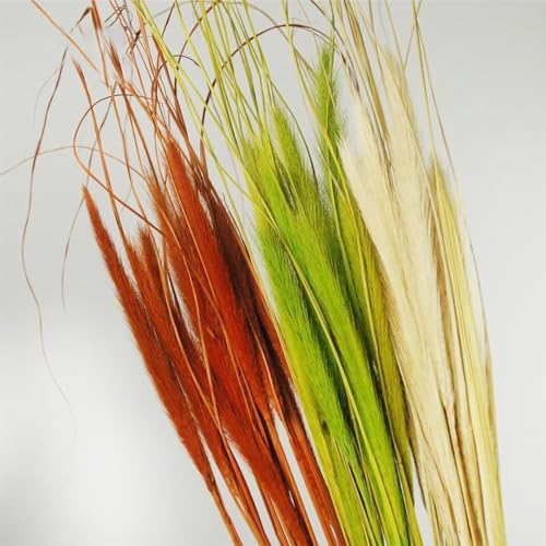 Dried Wolf Tails Grass Natural Bunny Tail Grass Lagurus Ovatus miniatura 1