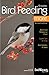 Enjoying Bird Feeding More: Great Ideas for Your Backyard