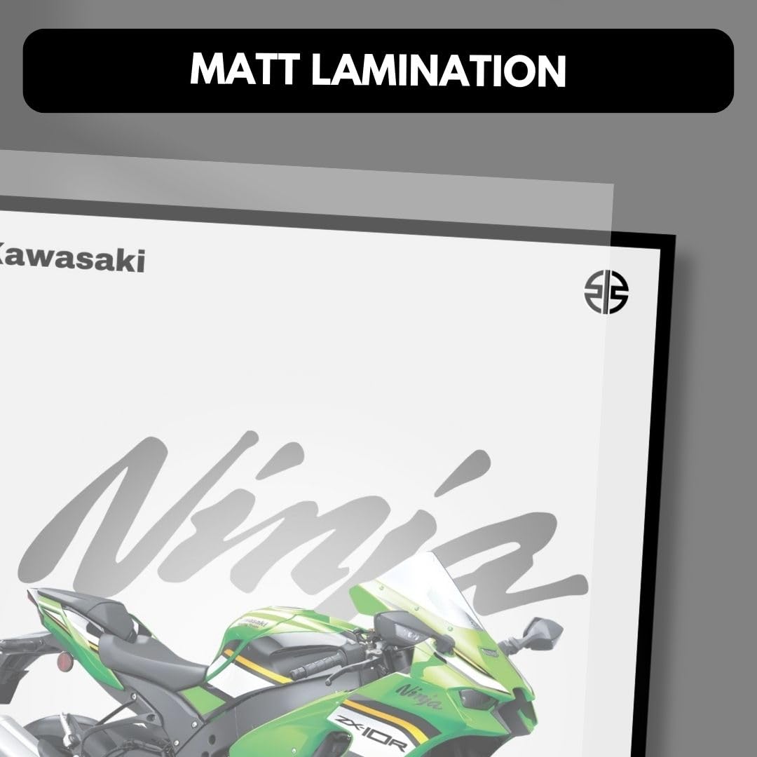 Funk You Store Kawasaki Ninja ZX-10R Poster | Superbike Ninja Wall