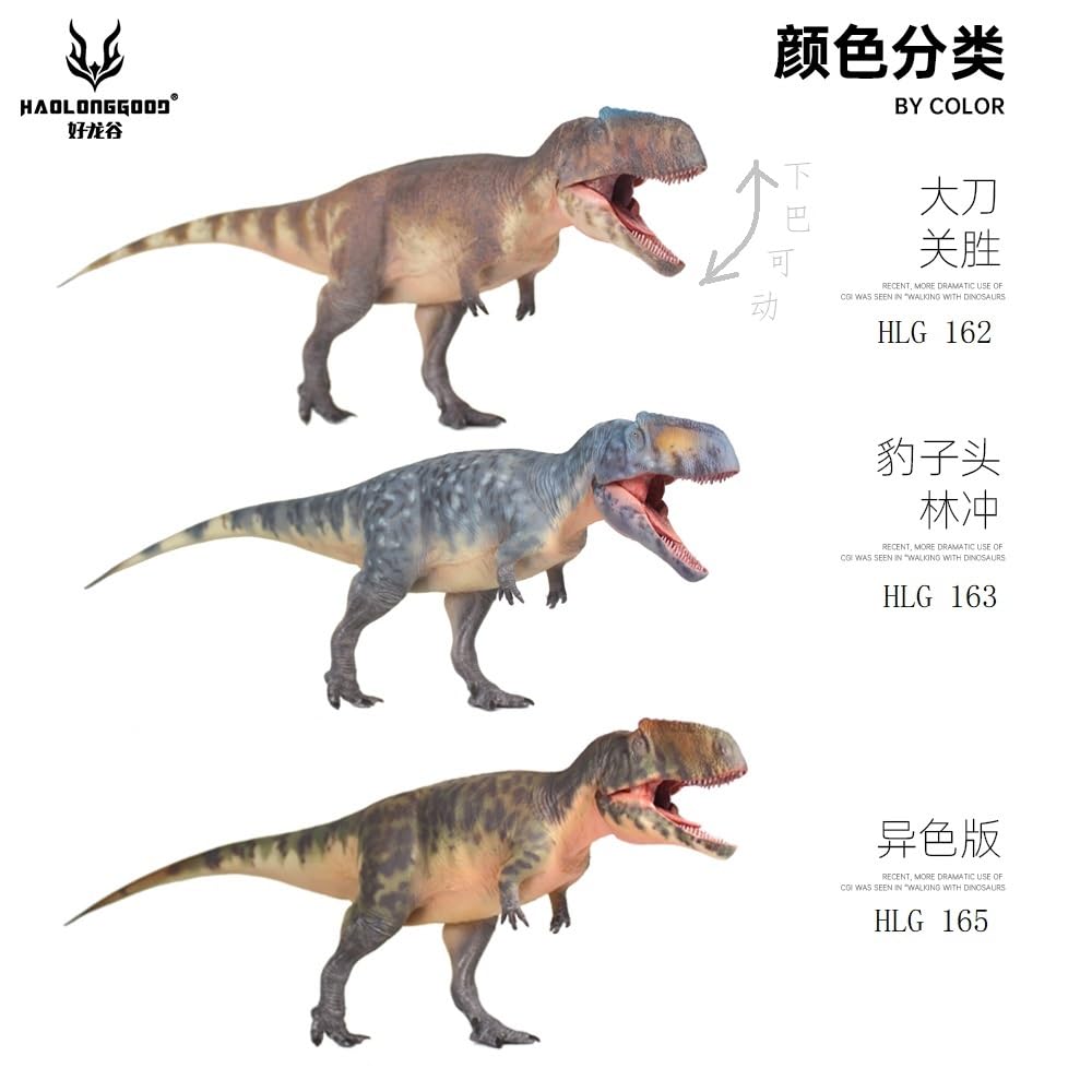 Amazon.com: HAOLONGGOOD New Giganotosaurus 1：35 Science and Art