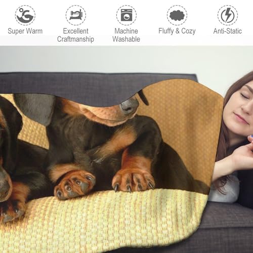 Couverture polaire imprimée motif teckel, le cadeau idéal pour amoureux des chiens