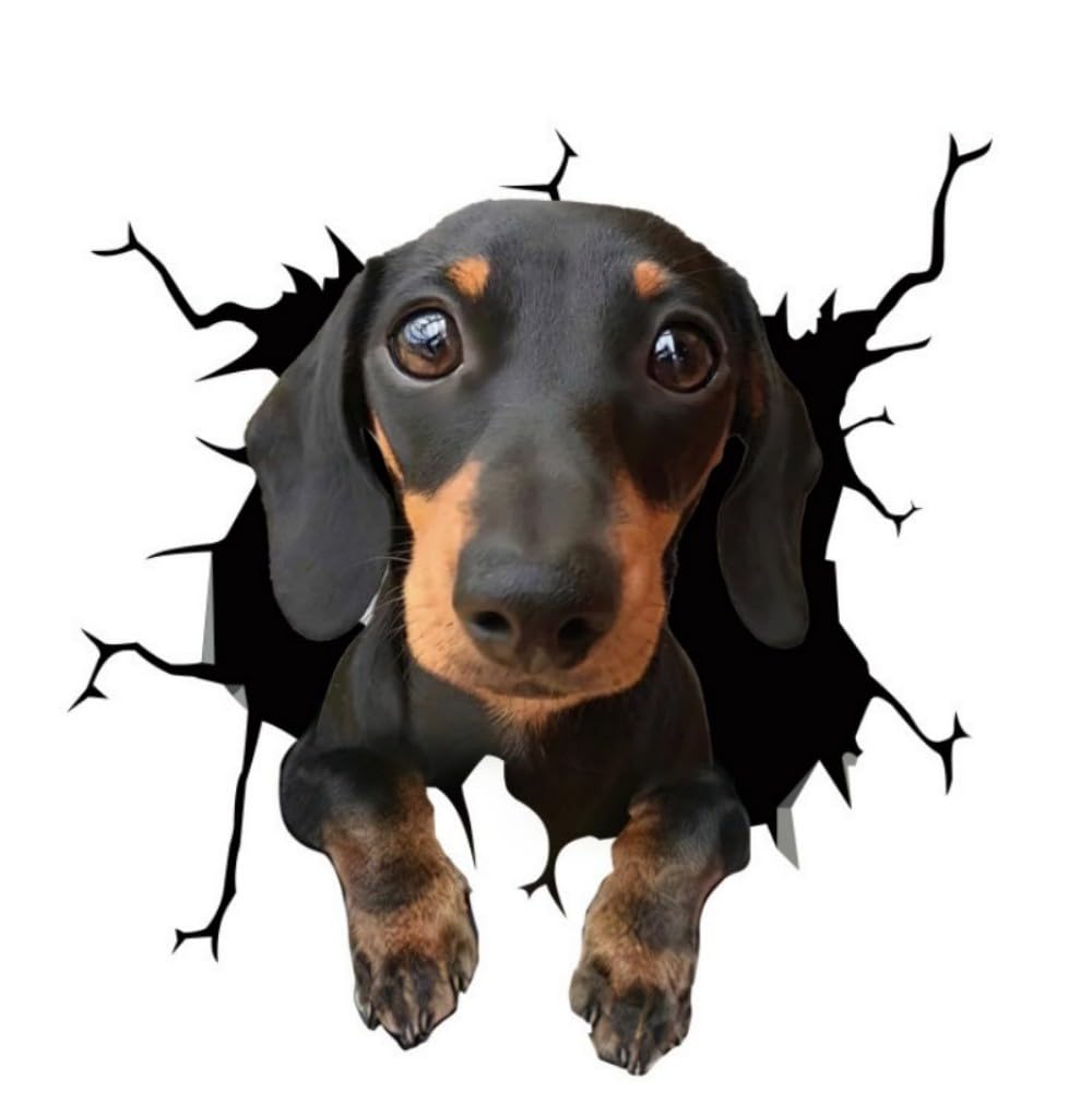 Dackel 3D Zerrissener Effekt Autoaufkleber, Lustiger Hunde-Dekoraufkleber für Laptop und Kühlschrank, Reflektierend, Wasserfest, für Autofenster und Stoßstange (25cm/9.8 Inch)
