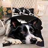 ZZXHG 3D Druck Bettdecke Hautfreundlich & Alle Jahreszeiten - Schwarzer Border Collie, Bettwaren Set mit 2 Kissenbezügen 80x80 cm für Paare und Gastzimmer, Maschinenwaschbar, 155x220 cm_76a