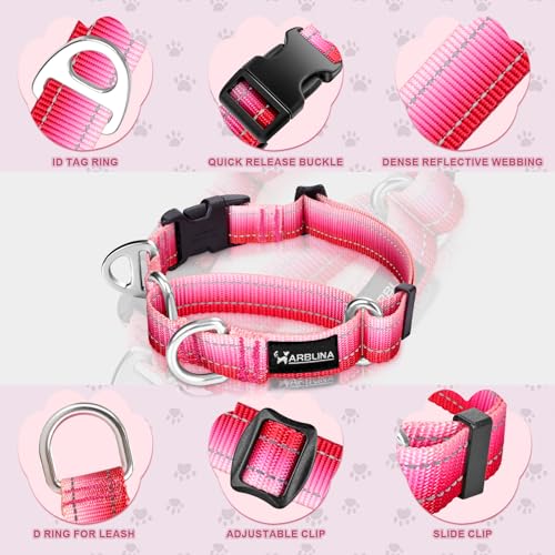 Arblina Martingale Hundehalsband, Reflektierendes Zugstopp Halsband Hunde für Große Mittlere und Kleine Hunde, Nylon Zughalsband mit Stopp für Hunde Whippets, Greyhounds, Saluki, Rosa,S