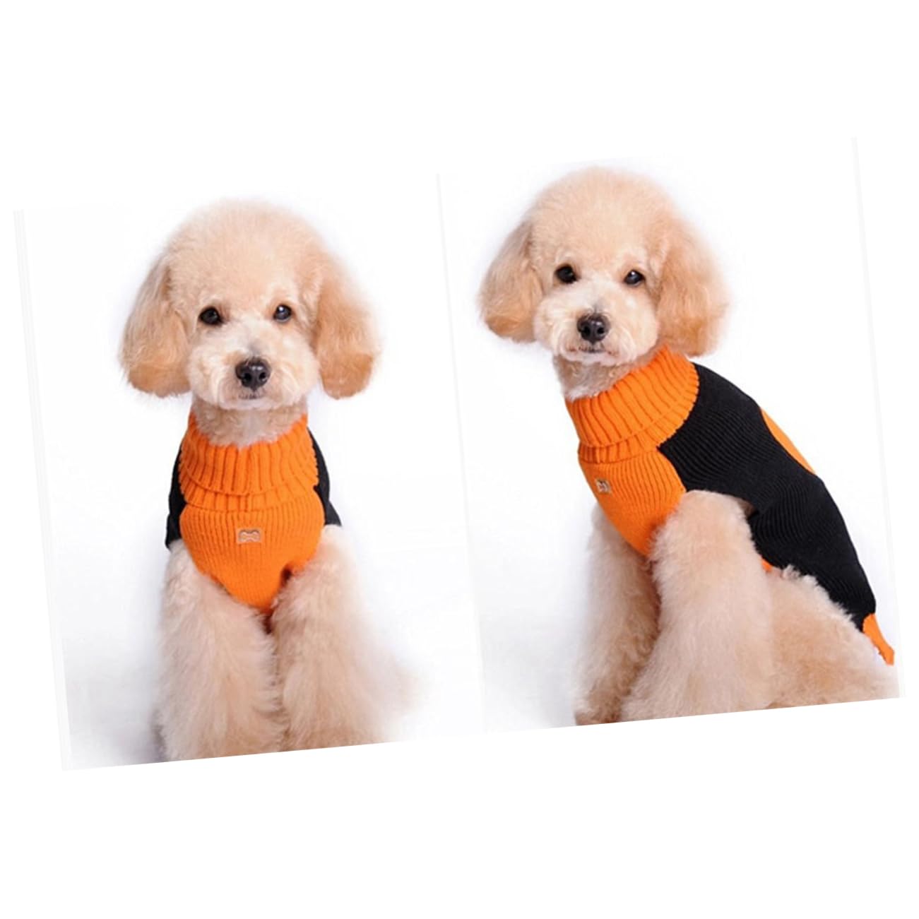BESPORTBLE Pull pour Animal De Compagnie 3 Pièces Costume De Citrouille Dhalloween pour Petit Chien Chiot Pull Chaud Confortable Et Extensible