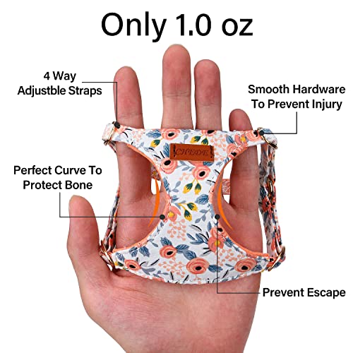 Chede No Pull Floral Pattern Dog Harness- Lightweight And Soft Dog Harness, Adjustable Small Dog Harness And Leash Set, With Dog Leash, Suitable For Puppy Small And Medium-Sized Dog (Xxs, Orange Rose) #TOP1