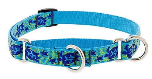 LupinePet Originals 3/4' Turtle Reef 10-14' Martingale Collar for Small Dogs