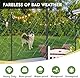 Gresonic Lichterkettenstangen String Light Pole für Deck - 2 Pack 9.8FT für außen hängenden Stahl String Pole für Outdoor-Dekoration Garten, Hinterhof, Terrasse Beleuchtung Stand für Hochzeit