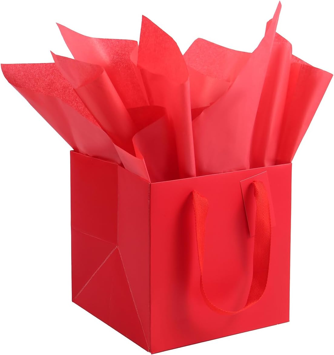 ADIDO EVA 10Pcs Square Gift Bags with Tissue Paper Medium Red Square Gift Bags with Handles for Party Favor (10x10x10 In, Red)