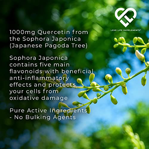 Quercetin-Bromelain-Supplement-60-Capsules-30-Servings-Powerful-Antioxidant-1000mg-Quercetin-from-Sophora-japonica-and-500-GDU-Bromelain-from-Pineapple-per-Serving-Love-Life-Supplements