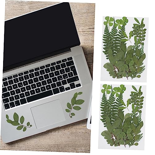 Abaodam 2 Peças Amostra De Folha Prensada Folhas Tropicais Folhas Secas Naturais Joias De Unhas Seca