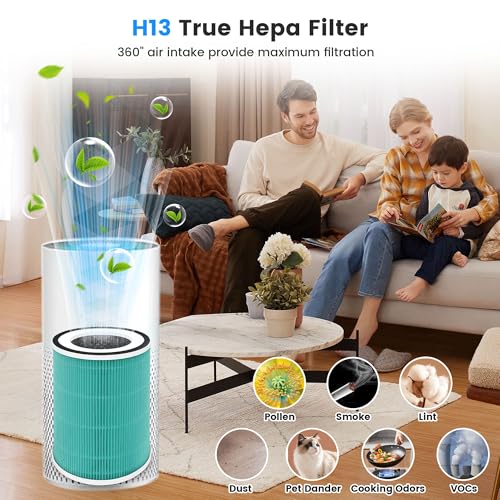 Image of 2 Pack True HEPA Kilo Filter Replacement for Afloia Kilo, KILOPLUS, KILOPRO, MIRO, MIRO PRO and MORENTO MR-Kilo, Kalo, H13 True HEPA Filter, 360 3-Stage Filtration, Green