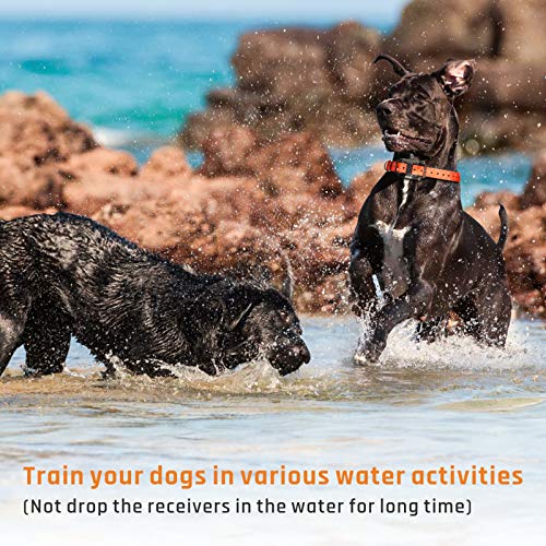iSPECLE Dog Training Collar, Waterproof Rechargeable 2600ft Remote Dog Shock Collar with LED Light, Beep, Vibration, Shock for Medium/Large Breed 2 Electronic Collars, Neck Lanyard
