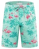 APTRO Men's Swim Trunks 9' Quick Dry Bathing Suit Big & Tall Beach Swimsuits HWP020 L