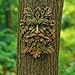 Green Man Wall Plaque – Celtic Tree Spirit Resin Sculpture for Garden or Home Décor – Forest Face Wall Art, Pagan Wiccan Celtic Decor, Outdoor Garden Wall Hanging, Hand-Painted Resin Greenman Ornament