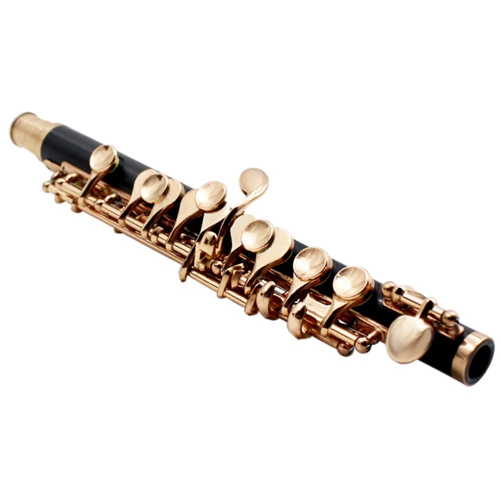 Ottavino di mezza misura, cupronickel placcato in argento C Key Tone 16 fori Piccolo con cacciavite for astuccio
