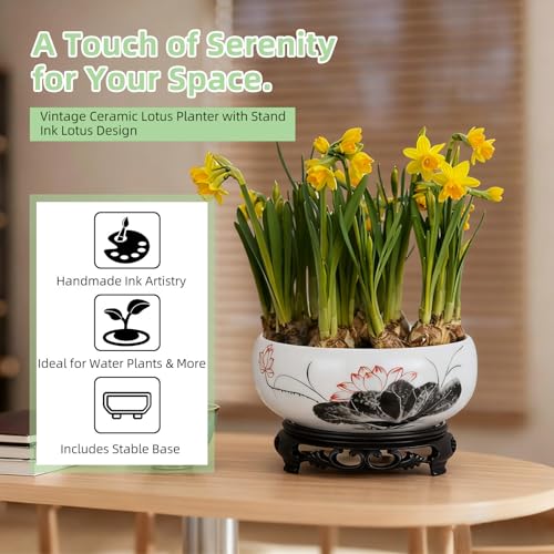 Pot de fleurs en céramique style chinois hydroponique et étanche
