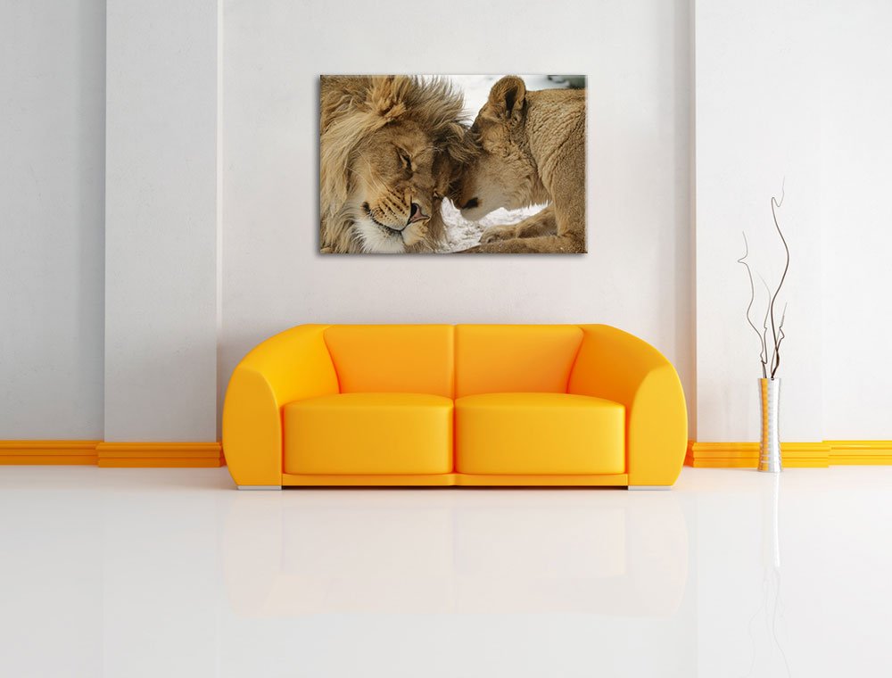 Pixxprint Kuschelnde Löwen, Größe: 120x80cm, Leinwandbild, fertig gespannt, Wandbild, Dekoration, Kunstdruck, kein Poster