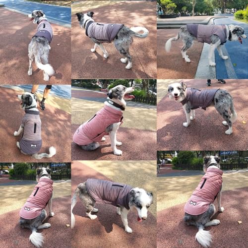 Idepet Winddichter Hundemantel Winter Warme Jacke,Anti-Schneeanzug Hundebekleidung für kleine mittelgroße Hunde mit Geschirrloch Blau Rosa Grau