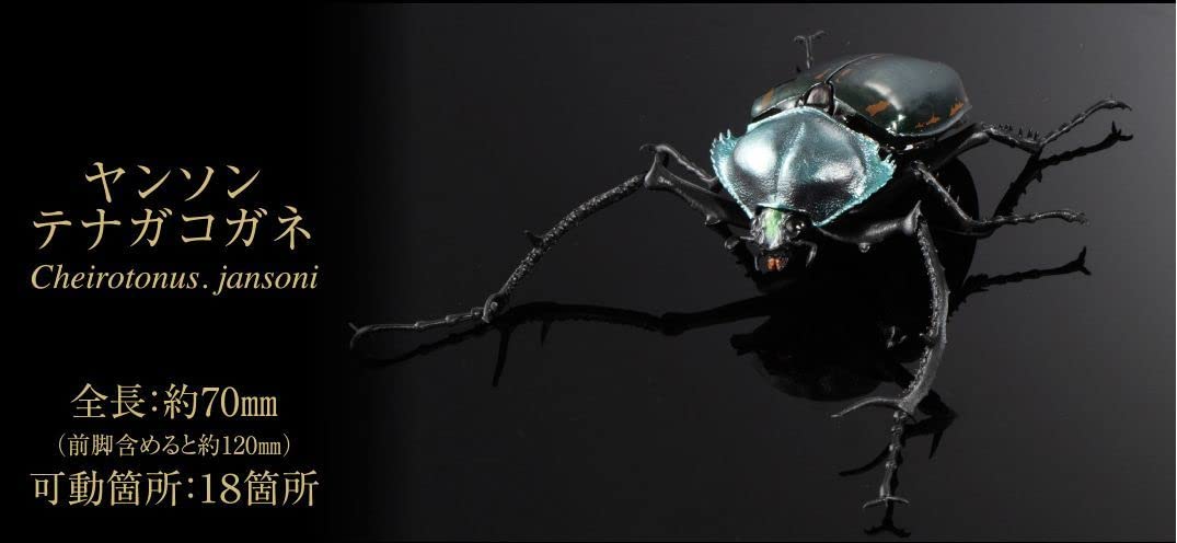 Amazon.co.jp: ヤンソンテナガコガネ いきもの大図鑑 かぶとむし04
