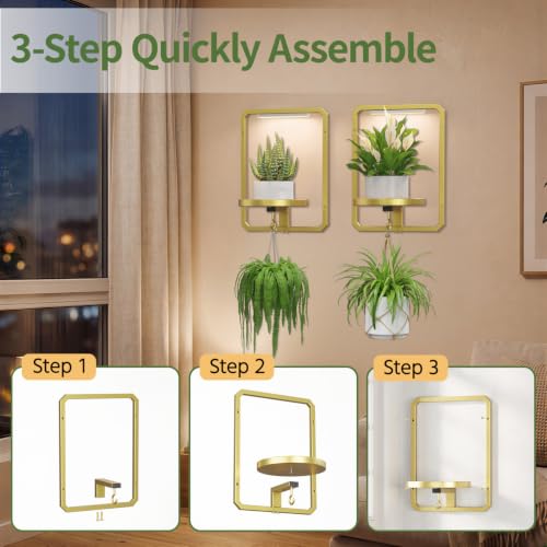 LASZOLA Plant Picture Frame Holder Shelf Wall with Lights, 2 Pcs Gold by LASZOLA - Used condition - Image 9