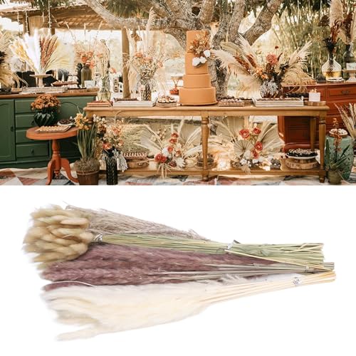 Buquê de Grama de Pampa Seca Dioche, 17 Polegadas 100 Peças Buquê de Grama de Pampa Seca Mista Buquê