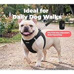 Best Pet Supplies Voyager Reflective Dog Leash or Collar with Neoprene Handle, for Small, Medium, and Large Breed Puppies, Cute and Heavy Duty for Walking, Running and Training - Black (Leash), M - Image 3