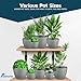 Planter Pots with Drainage Holes - Lightweight, Durable & Space-Saving Pots for Indoor and Outdoor - Versatile Functionality, Simple Modern Design, Set of 5 Plastic Planter Pots - Gray