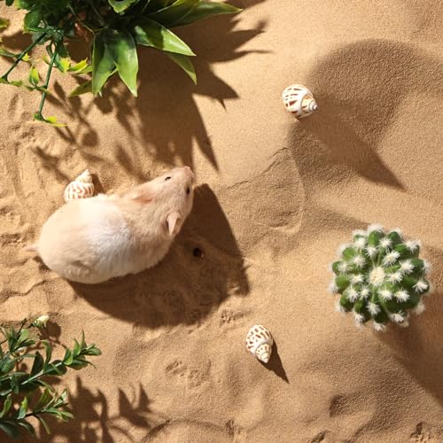 Image of BUCATSTATE Hamster Bath Sand with Pour Spout, 6.6LB Desert Bath Sand | No-Dust Potty Litter Calcium-Free Sand for Hamster Chinchillas Gerbil Mice Degu or Other Small Pets (Fine Sand)