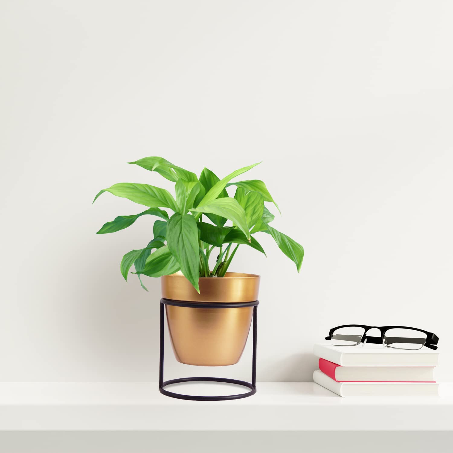 ecofynd Elis White Planter Pot & Stand - Modern Garden Decor -16
