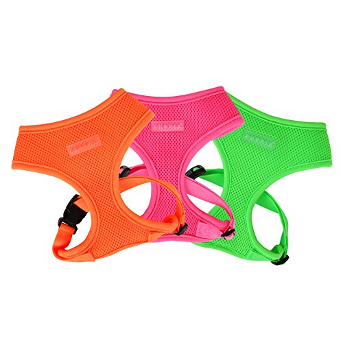 Puppia Hundegeschirr in Neonfarben - Hochwertig und Komfortabel - Auch als Welpengeschirr verwendbar, Orange, XS, PAPA-AC1325-OR-XS