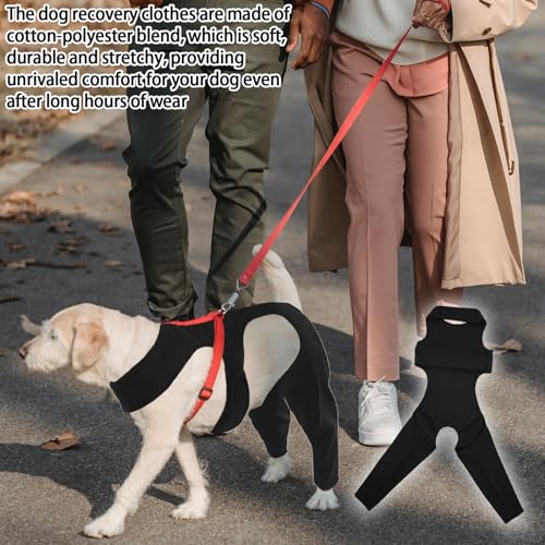 Hunde-Body für Hinterbeine, Hundebody Nach op Body, Welpe nach Op Hundebody, Hundebody Nach Op Mit Bein, Anti-Wundlecken Op Body Hunde, Hundebody Nach Op, für Haarausfall, Anti-Lecken, Wundschutz