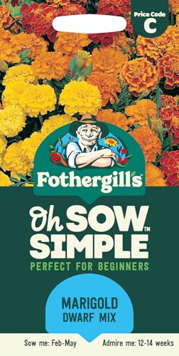Fothergills Oh Sow Simple Marigold Dwarf Mix Flower Seeds Sow: Feb-Apr Orange/Yellow/Red