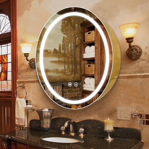 Janboe 66 cm runder Medizinschrank mit Lichtern, LED-Medizinschrank mit Entnebeler, beleuchteter...