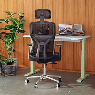 MOLENTS Ergonomic Office Desk Chair, Adjustable Computer Chair with Seat Slider, Adjustable Lumbar Support,Headrest,3D Armrest, 4 Position Tilt-Lock,Comfortable Mesh Back for Gaming, Home, or Office