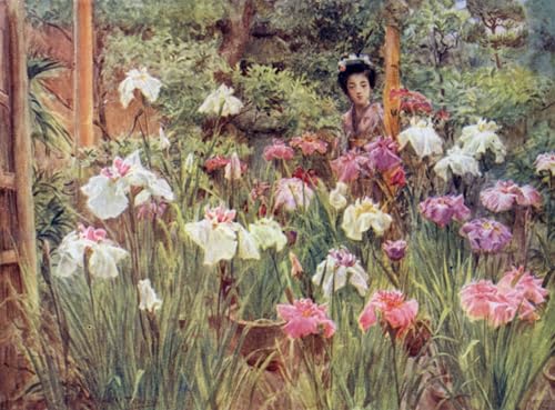 Tableaux Peinture sur Toile Iris de Walter Tyndale pour Décoration Chambre 60x90cm