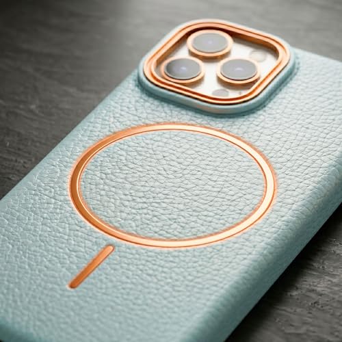 Image of amazon basics Luxury MagSafe Compatible Leather Texture Back Cover for iPhone 13 Pro | Raised Camera Protection | Slim Fit Shockproof Case with Metallic Accents (Light Blue)