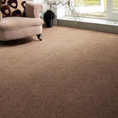 Image of Shanno Carpet for Wedding, Stage, Exhibition, Party, Office, Hotels Decoration, Living Room and Wall to Wall Carpet Size 4 x 5 Feet