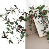 Photo Gallery epheyfif ghirlanda di bacche rosse, 2 m, ghirlanda natalizia con bacche artificiali, foglie di agrifoglio e bacche rosse, da appendere, decorazione per la casa (2 pezzi) Photo Gallery epheyfif ghirlanda di bacche rosse, 2 m, ghirlanda natalizia con bacche artificiali, foglie di agrifoglio e bacche rosse, da appendere, decorazione per la casa (2 pezzi)