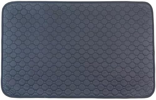 Waterproof Seat Protector (22.4X 16.9)” - Blue Absorbent Seat Covers - Waterproof Chair Pad for Incontinence Washable - Chair Pad Protectors - Incontinence Pads for Kids, Pets, Adults, & Seniors