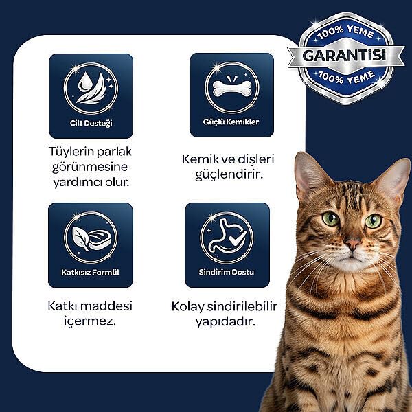 Obivan Kitten Tavuklu ve Kızılcıklı Yavru Kedi Maması 2 kg